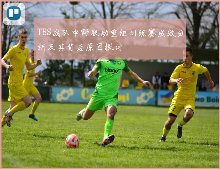 TES战队中野联动重组训练赛成效分析及其背后原因探讨